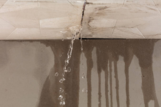Professional Burst Pipe Cleanup technician working in Augusta, MI
